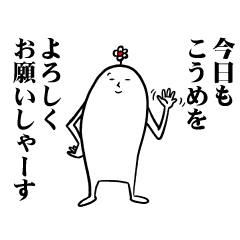 [LINEスタンプ] こうめさんの毎日お名前スタンプ