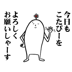 [LINEスタンプ] こたぴーさんの毎日お名前スタンプ