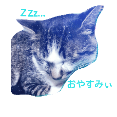 [LINEスタンプ] 猫のみぃやくん2