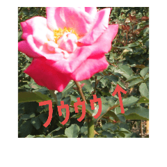 [LINEスタンプ] 会話の成り立たないスタンプ(花)