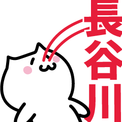 [LINEスタンプ] 長谷川 専用スタンプ！！！