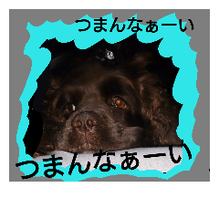 [LINEスタンプ] アメコの茶々