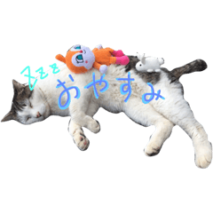 [LINEスタンプ] 我輩は猫である