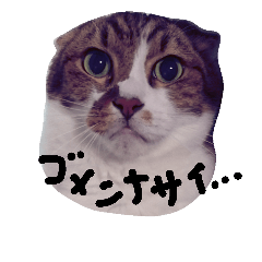 [LINEスタンプ] 我が家の末っ子りくごろう