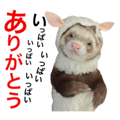 [LINEスタンプ] I LOVE FERRET 9 フェレット