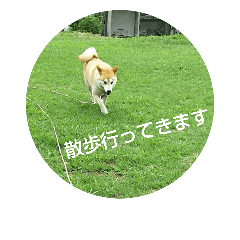 [LINEスタンプ] まいにち大吉④