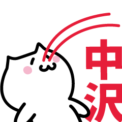 [LINEスタンプ] 中沢 専用スタンプ！！！