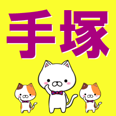 [LINEスタンプ] 超★手塚(てづか・てつか・てずか)なネコ