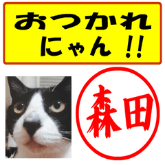 [LINEスタンプ] はんこだポン森田様用、顔文字と猫写真付の画像（メイン）