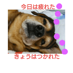 [LINEスタンプ] ヒロシくん