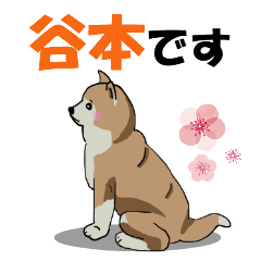 [LINEスタンプ] 谷本さんが使う名前スタンプ・子犬イラストの画像（メイン）