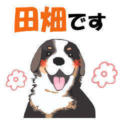 [LINEスタンプ] 田畑さんが使う名前スタンプ・子犬イラスト