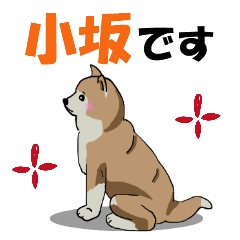 [LINEスタンプ] 小坂さんが使う名前スタンプ・子犬イラストの画像（メイン）