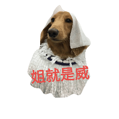 [LINEスタンプ] Dachshund cute