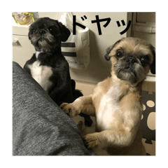 [LINEスタンプ] りくとかい