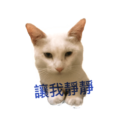 [LINEスタンプ] hip pop cat