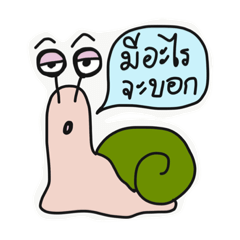 [LINEスタンプ] Mr. Snail V.3