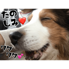 [LINEスタンプ] あっちゃん.アトム