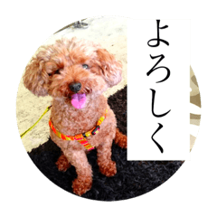 [LINEスタンプ] わんこのボヤキ