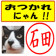 [LINEスタンプ] はんこだポン石田様用、顔文字と猫写真付の画像（メイン）