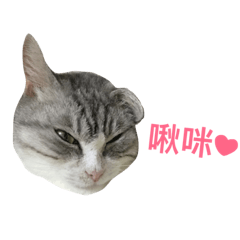 [LINEスタンプ] Cat doesnt like you