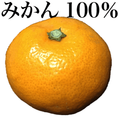 [LINEスタンプ] みかん100%