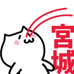 [LINEスタンプ] 宮城 専用スタンプ！！！