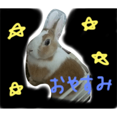 [LINEスタンプ] ウサギのぴょん様