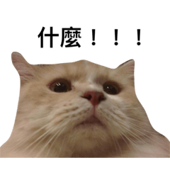 [LINEスタンプ] 味噌とかいう