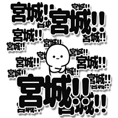 [LINEスタンプ] 宮城さんデカ文字シンプル