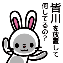 [LINEスタンプ] 皆川さんと皆川さんの友達専用