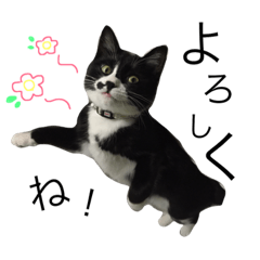 [LINEスタンプ] のらてん♩③