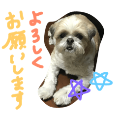 [LINEスタンプ] ぶーもも