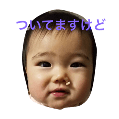 [LINEスタンプ] こたこたこたこたたこた