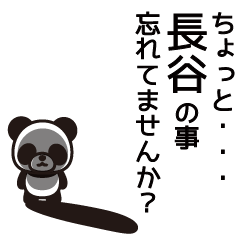 [LINEスタンプ] 長谷さんと長谷さんの友達専用