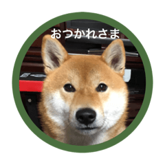 [LINEスタンプ] 大福とチクワ4