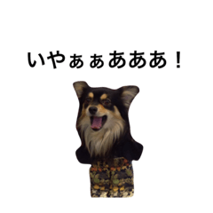 [LINEスタンプ] ぽんたのスタンプ スペシャル