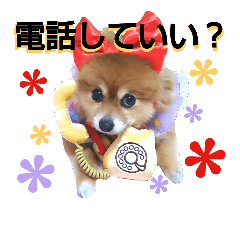 [LINEスタンプ] コスプレ ポメラニアン Duffy7