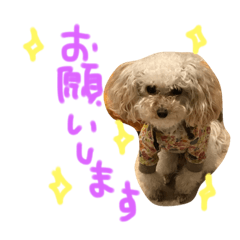 [LINEスタンプ] アフロスタンプ2