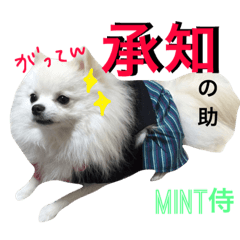 [LINEスタンプ] 関西風【mint】ヒナちゃんフレンドシリーズの画像（メイン）