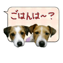 [LINEスタンプ] くうがくんとここなちゃん