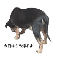 [LINEスタンプ] 高橋もも