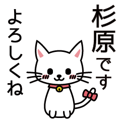 [LINEスタンプ] 杉原さんと杉原さんの友達用