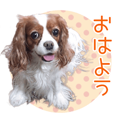 [LINEスタンプ] みんみんみるく