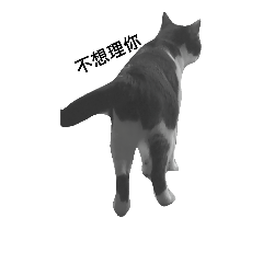 [LINEスタンプ] cats with four season