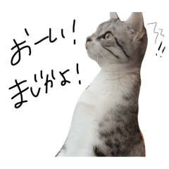 [LINEスタンプ] われらのボス