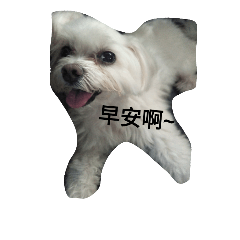 [LINEスタンプ] Maruydog