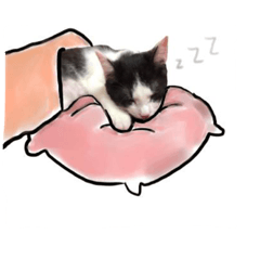 [LINEスタンプ] I am a cat boss