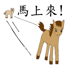 [LINEスタンプ] Horse : Equus ferus