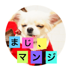 [LINEスタンプ] ワンちゃんのパール君